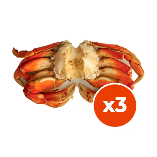 Pré Cozido / Sem Tempero<br>SEM carapaça - (Pacote com 03 unidades)